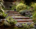 Kitchen Steps in the Spring